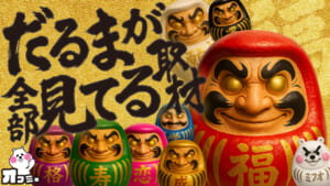 だるまが全部見てる取材