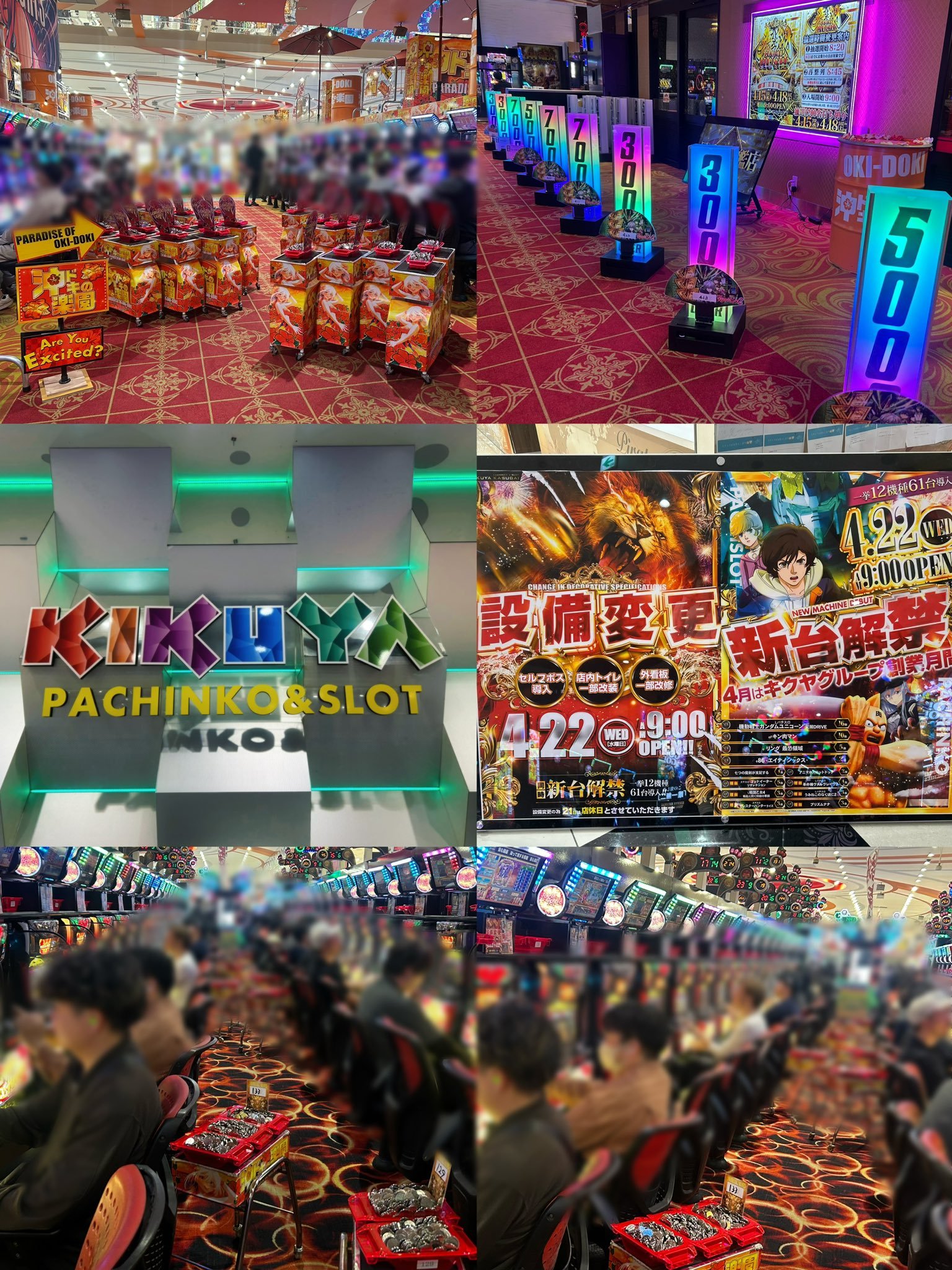 店内環境と次回予定